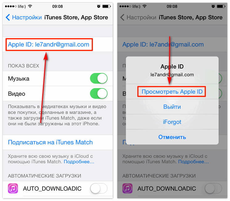 Apple id это. Что такое Apple ID на айфоне 6s. Как узнать Apple ID на айфоне 11. Как узнать пароль Apple ID на айфоне 11. Как узнать Apple ID на айфоне 6 s.